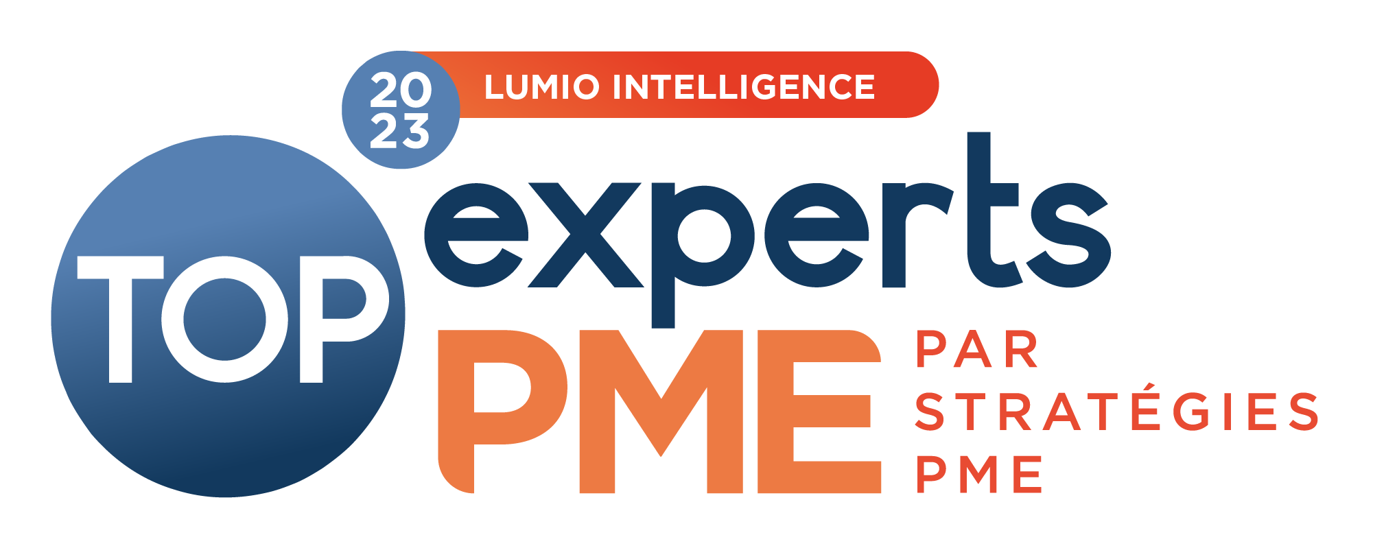 Lumio Intelligence Top Expert Stratégie PME
